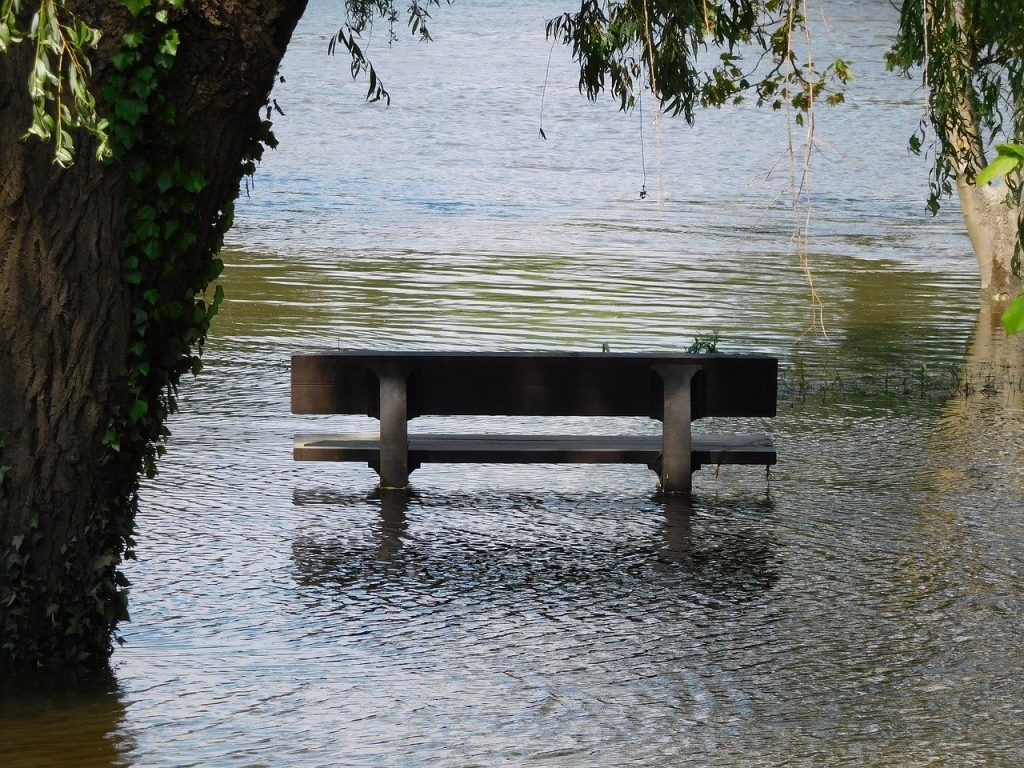 London Flood - Bench