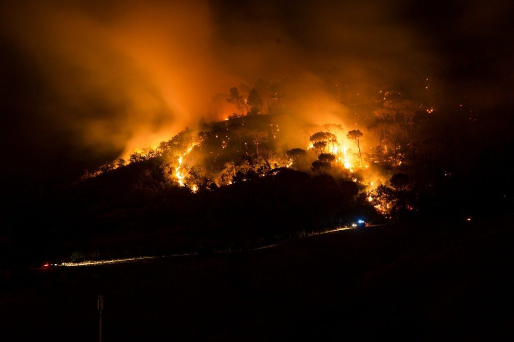 Greece wildfires Evia Island